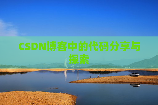 CSDN博客中的代码分享与探索